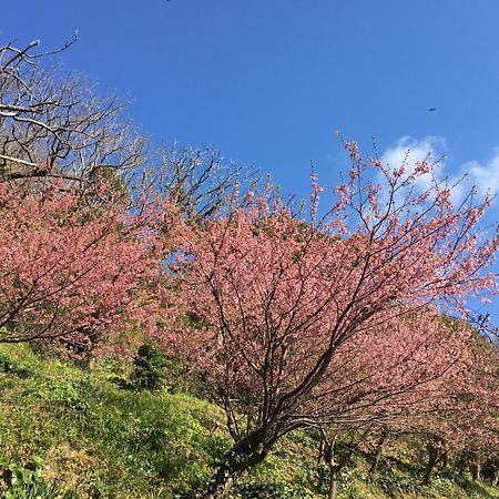 Dogashima Onsen Hotel Nishiizu Buitenkant foto