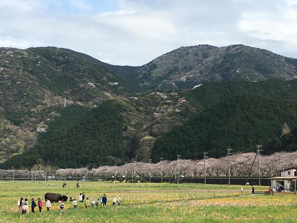 Dogashima Onsen Hotel Nishiizu Buitenkant foto