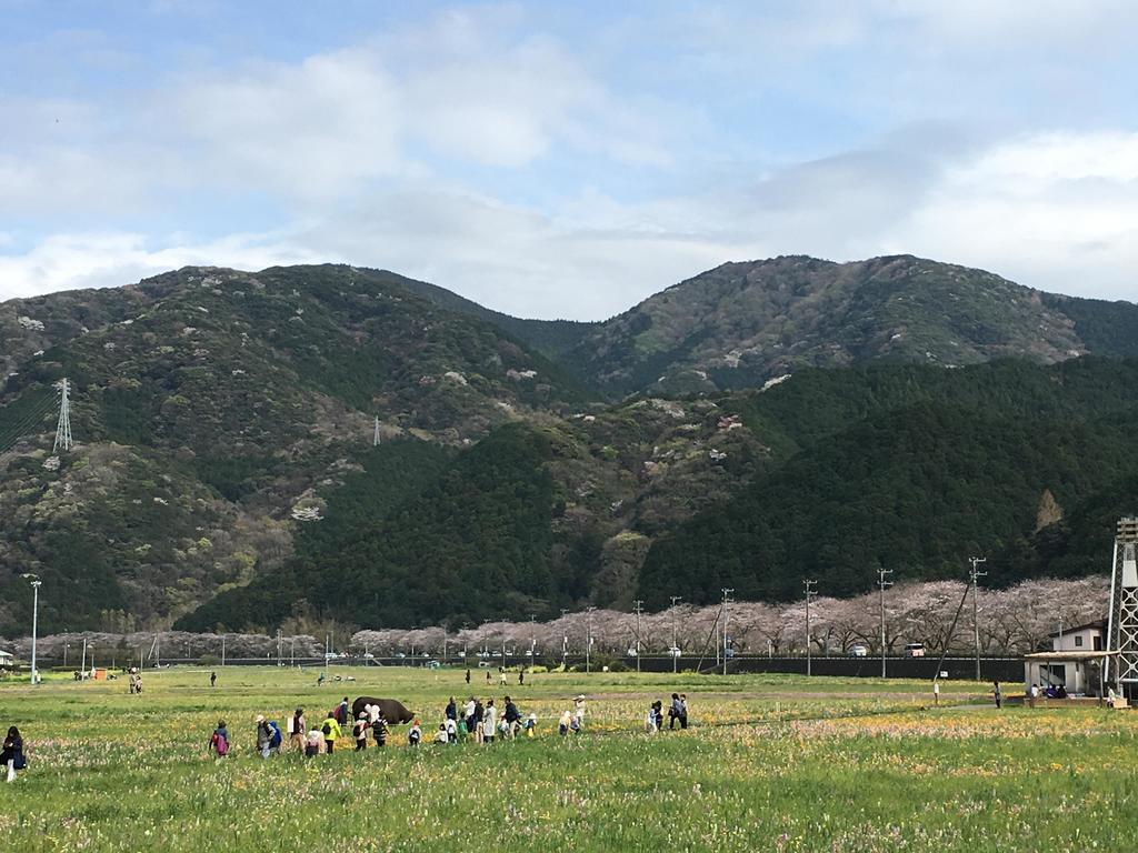 Dogashima Onsen Hotel Nishiizu Buitenkant foto